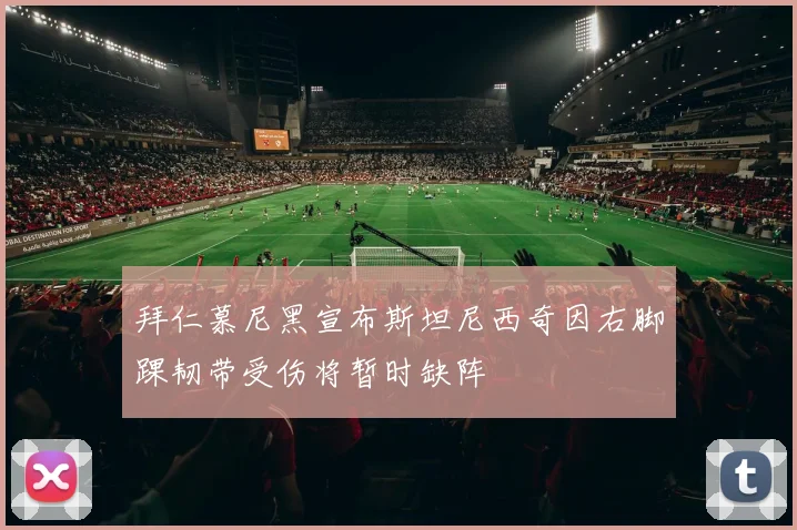 拜仁慕尼黑宣布斯坦尼西奇因右脚踝韧带受伤将暂时缺阵