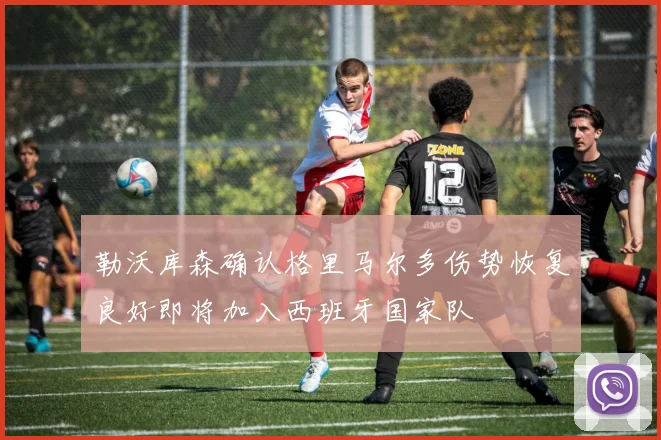 勒沃库森确认格里马尔多伤势恢复良好即将加入西班牙国家队