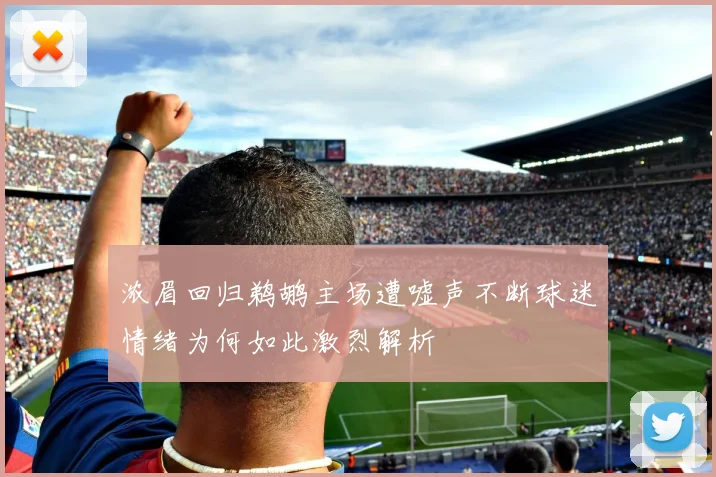 浓眉回归鹈鹕主场遭嘘声不断球迷情绪为何如此激烈解析